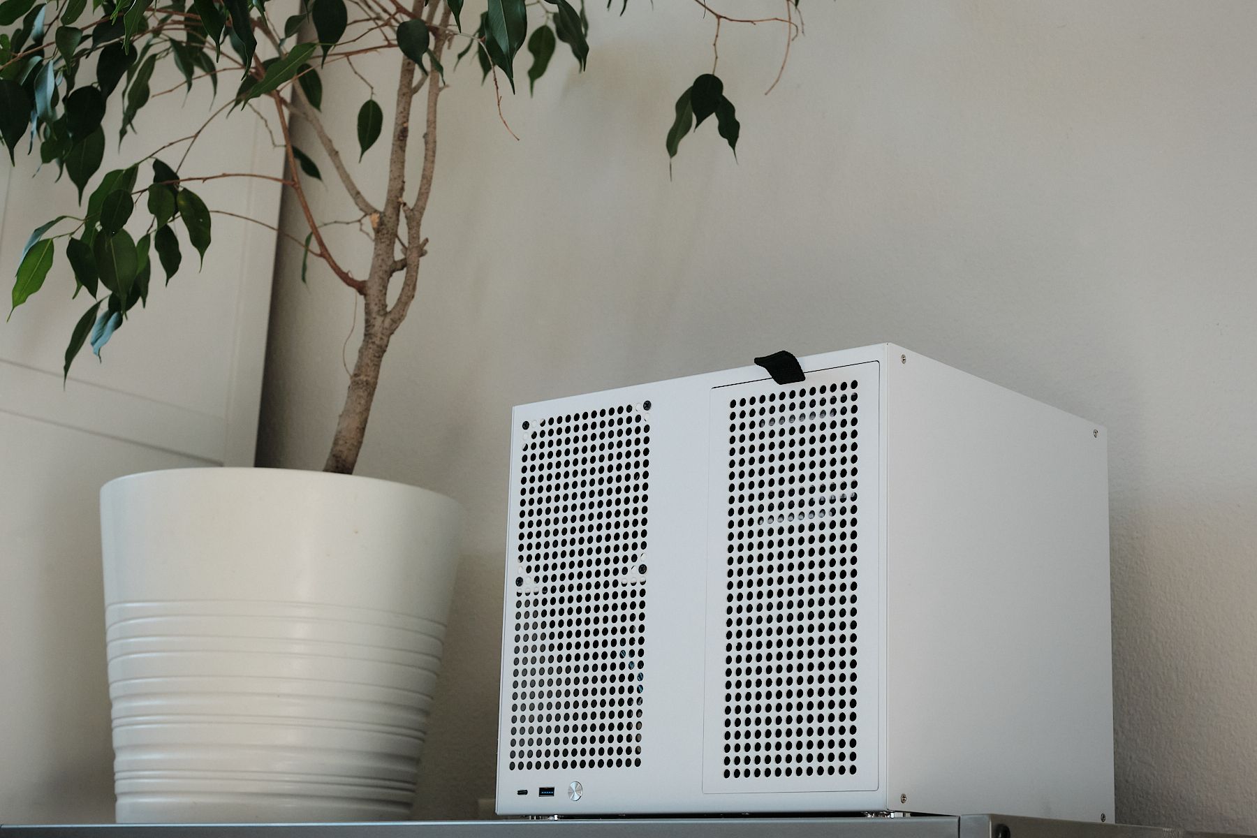 A white NAS case with perforated front panels sitting on a shelf next to a potted ficus tree in a white planter.