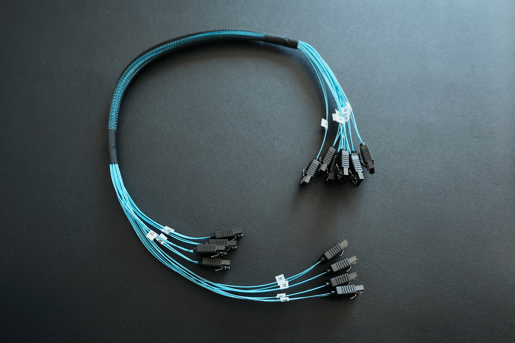 Eight thin blue SATA cables bundled in a dark mesh sleeve, fanning out at both ends with white identification labels on each connector